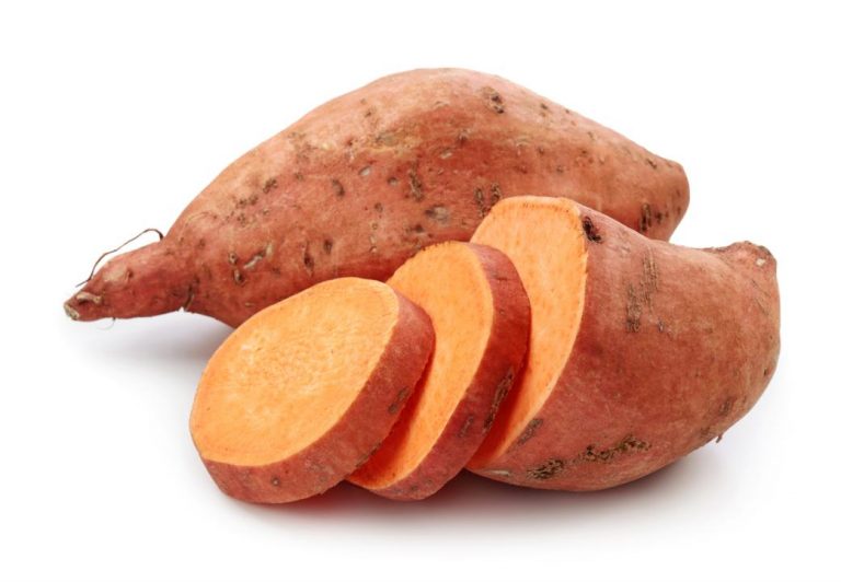 american-sweet-potato-city-farmers-market